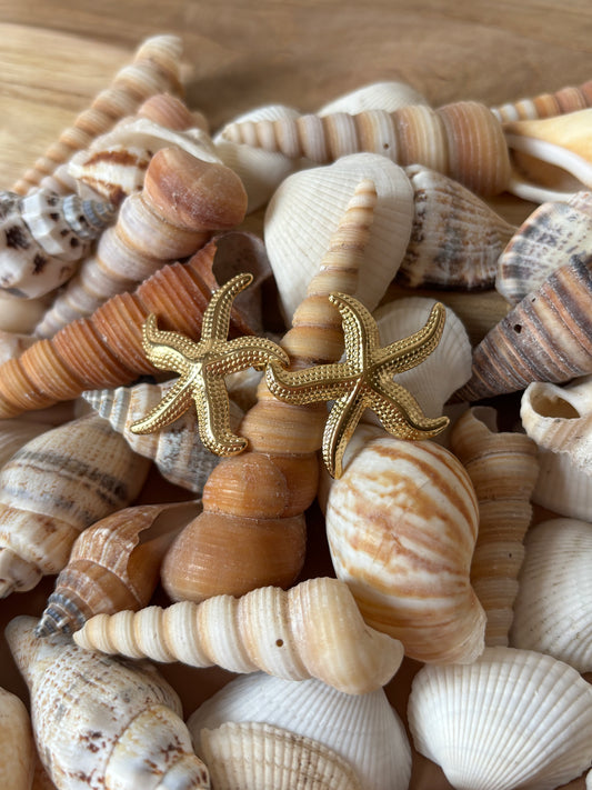 Boucles d'Oreilles Sirena