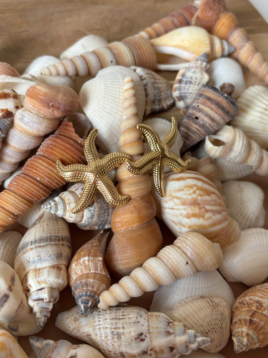 Boucles d'Oreilles Sirena